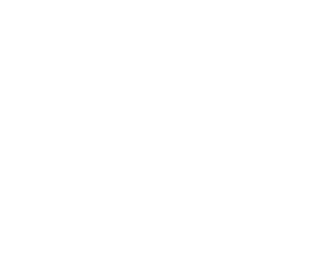Logo e-WOMEN IN ICT